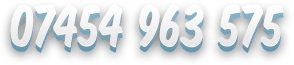 07454 963 575